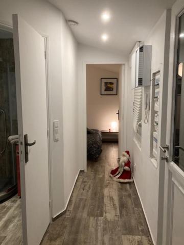 Appartement Mozart Strasbourg Extérieur photo